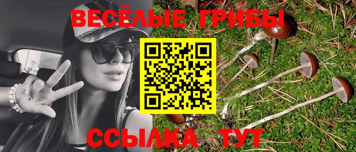 Псилоцибиновые грибы мухоморы  магазин продажи   Стерлитамак  Вход с VPN 